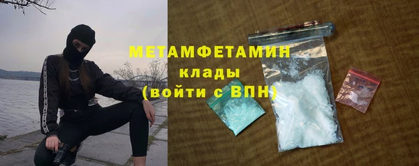 молекула духа Богданович