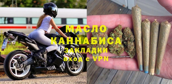 молекула духа Богданович