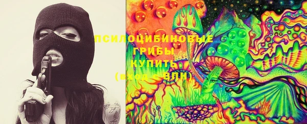 молекула духа Богданович