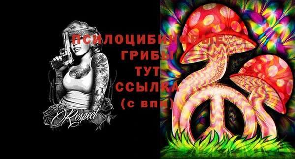 молекула духа Богданович