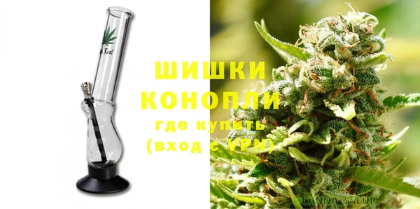 молекула духа Богданович