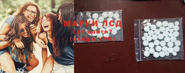 молекула духа Богданович