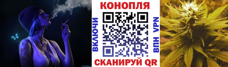 Канабис OG Kush Бежецк